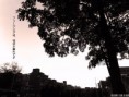 /album/%e7%b6%b2%e8%b7%af%e7%9b%b8%e7%b0%bf/a004-jpg/